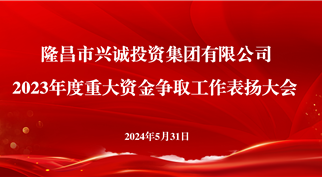 伟德体育官网召开2023年度重大资金争取工作 表扬大会