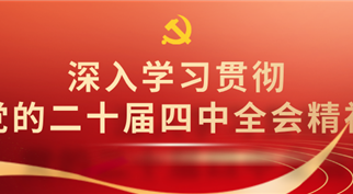 中共隆昌市兴诚投资集团有限公司委员会 学习贯彻党的二十届四中全会精神专题党课